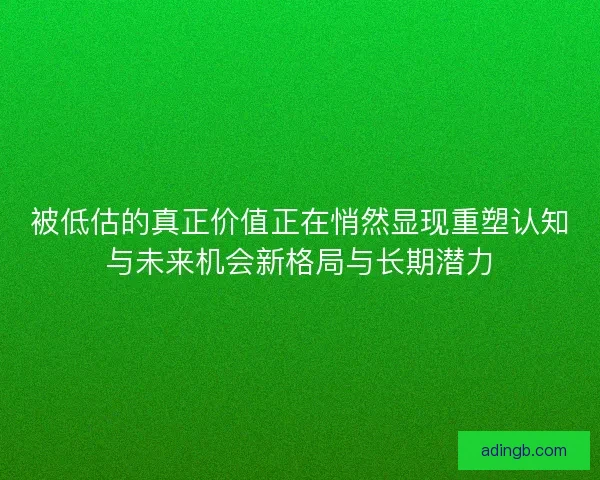 被低估的真正价值正在悄然显现重塑认知与未来机会新格局与长期潜力